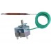 REGULUS Termostat roboczy 0-90 ° C, kapilara 2 m 11020