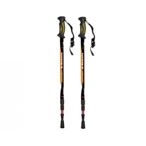 VETRO-PLUS Kijki trekkingowe i do Nordic Walking Nawalla Comfort SILVER 52YBT08