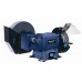 Einhell Szlifierka stołowa BT-WD 150/200 4417215