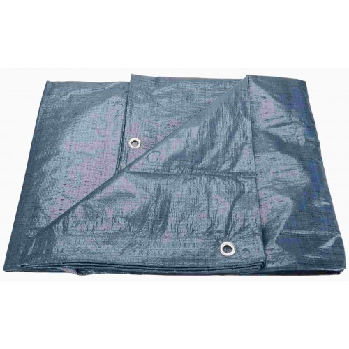 EXTOL CRAFT Plandeka PE nieprzemakalna 100g/m2, 5x8m, 16127