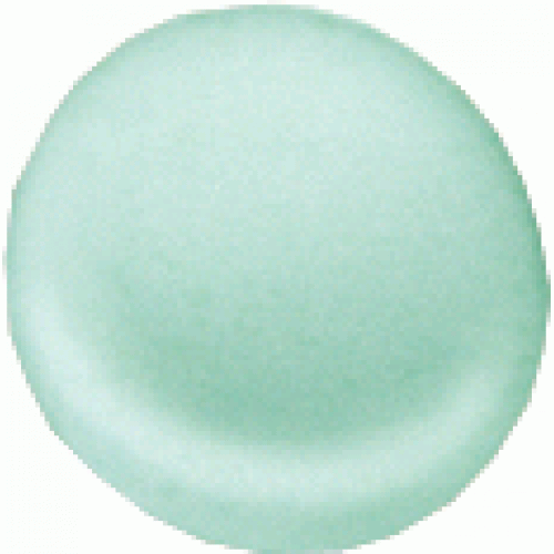 RAVAK Zagłówek do wanny Love Story zielony B60000000Z