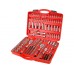 EXTOL PREMIUM Zestaw kluczy 172 szt. 8818345