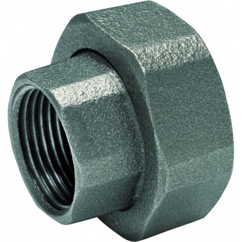 FERRO Półśrubunek do pompy żeliwny 6/4”x1” SG17