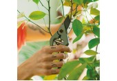 Fiskars Plant Care Nożyce Ogrodowe z Etui, 20 cm 1075314