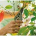 Fiskars Plant Care Nożyce Ogrodowe z Etui, 20 cm 1075314