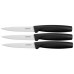 Fiskars Functional Form Zestaw noży do obierania, czarny 1014276