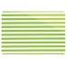 KELA Przezroczysta podkładka w zielone paski CADS 42,5 x 28,5 cm KL-10890