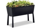 KETER EASY GROW 120L Donica ogrodowa, rattan antracyt 17194592