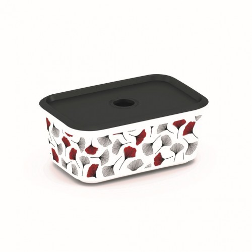 KIS CHIC BOX PLUS S JAPAN GINKGO 24x17,5x10cm 3L