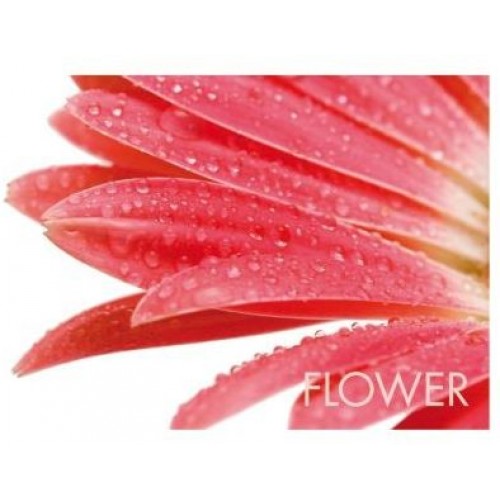 KELA Kolorowa podkładka pod nakrycie PICTURE czerwony kwiat KL-15039