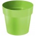 PROSPERPLAST Doniczka IML bez nadruku 12 cm, limonka DR120