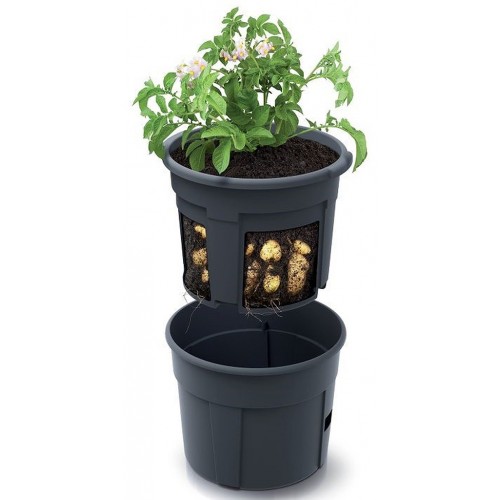 Prosperplast POTATO GROWER Doniczka do uprawy ziemniaków, 29,5cm, antracyt IZIE300