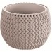Prosperplast SPLOFY Bowl doniczka 14,4cm, 0,75l, mocca DKSP150