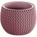 Prosperplast SPLOFY Bowl doniczka 18cm, 1,4l, jagodowy jasny DKSP180