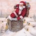 PAPSTAR Serwetki Down the Chimney 11286