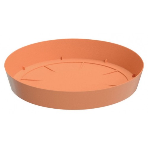 PROSPERPLAST LOFLY miska pod doniczkę 23x3,7cm, terakota PPLFC230 PROSPERPLAST LOFLY miska pod doniczkę 23x3,7cm, terakota PPLFC230