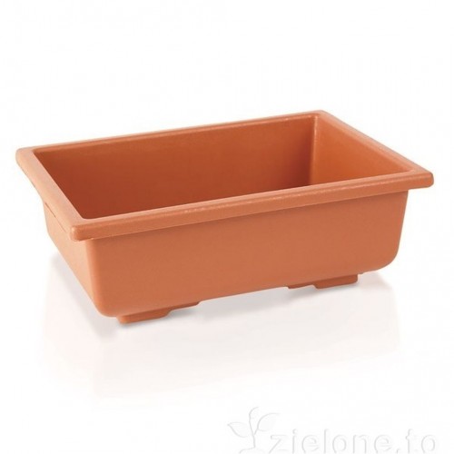 PROSPERPLAST DBON Doniczka do bonsai 20 x 14 x 7,5cm, terakota DBON PROSPERPLAST DBON Doniczka do bonsai 20 x 14 x 7,5cm, terakota DBON