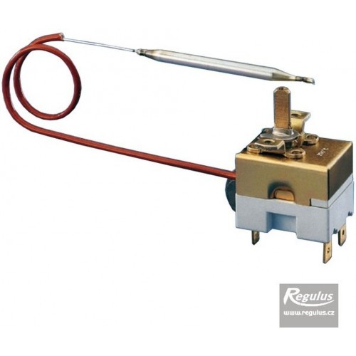 REGULUS Termostat roboczy 0-120 ° C, kapilara 1 m 10735
