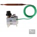 REGULUS 95H110R09 / 04756 Termostat awaryjny 90-110 ° C z kapilarą 1,5m 10740