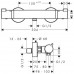Hansgrohe Ecostat Comfort, bateria termostatyczna prysznicowa, natynkowa, chrom 13116000