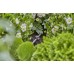 GARDENA Micro-Drip-System Szpilka utrzymująca rurę 3/16“ 13218-20