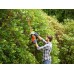 Black & Decker BEHTS301 Nożyce do żywopłotu elektryczne (50cm/500W)