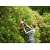 Black & Decker BEHTS401 Elektryczne nożyce do żywopłotu (55cm/500W)