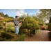 Black & Decker BEHTS451 Nożyce do żywopłotu elektryczne (60cm/550W)