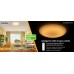 DALEN Inteligentne oświetlenie sufitowe LED DL-C408TX