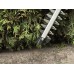 Einhell GC-CH 1855/1 Li-Solo akumulatorowa nożyca do żywopłotu (18 V/bez aku) 3410502