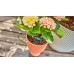 GARDENA MD system regulowany kroplownik końcowy 10szt.13305-20
