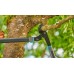 GARDENA Nożyce do gałęzi kowadełkowych EnergyCut L 12052-20
