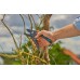 GARDENA Nożyce ogrodowe PremiumCut Pro do drewna suchego 12250-20