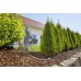 GARDENA Linia kroplująca do rzędów roślin – zestaw M automatic 13012-20