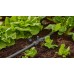 GARDENA MDS T Trójnik 13 mm (1/2") 13206-20