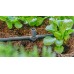 GARDENA MDS T Joint Spray Nozzles 4.6 mm (5 szt.) 13216-20