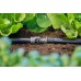 GARDENA MDS Złącze uniwersalne 13 mm (1/2") (1zt) 13220-20
