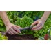 GARDENA MDS Łącznik do urządzenia podstawowego 4,6 mm (1zt)13224-20