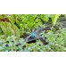 GARDENA MDS Dysza do małych powierzchni, 10 szt. 13306-20