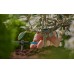 GARDENA MDS Kroplownik końcowy 2 l/h 13307-20