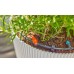 GARDENA MDS kroplownik liniowy 2 l/h 13317-20