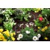 Gardena Micro-Drip-System Linia kroplująca 4,6 mm (3/16"), 15 m 1362-20