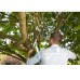 Gardena Comfort SmartCut Smartcut nożyce do gałęzi, ø 45 mm 08773-20