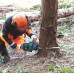 Makita UC025GZ Piła łańcuchowa akumulatorowa 350 mm Li-ion XGT 40V, bez akumulatora