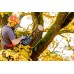 Metabo 18 LTX BL 25 Akumulatorowa pilarka łańcuchowa (18V/bez akumulatora) 601595850