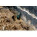Metabo SP 120-35 S Pompa zanurzeniowa do wody brudnej 601794000