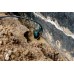 Metabo SP 150-35 S Pompa zanurzeniowa do wody brudnej 601795000