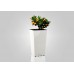 PLASTKON In-& Outdoor doniczka Elise z wiklinowym wzorem 20 cm biała