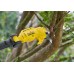 Stanley SFMCPP632B FatMax V20 Sekator na wysięgniku do gałęzi (18V/bez akumulatora)