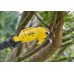 Stanley SFMCPP632D1 FatMax V20 Sekator na wysięgniku do gałęzi (18V/1x2,0Ah)